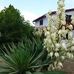 Apartmani Ostres