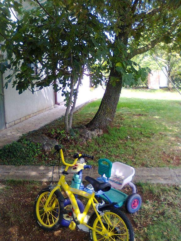 Apartment Ostres Porec