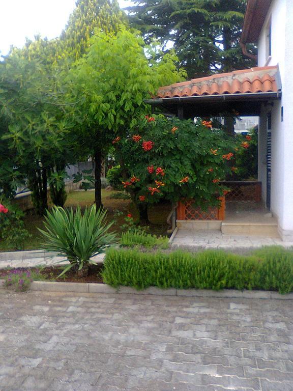 Ostres *