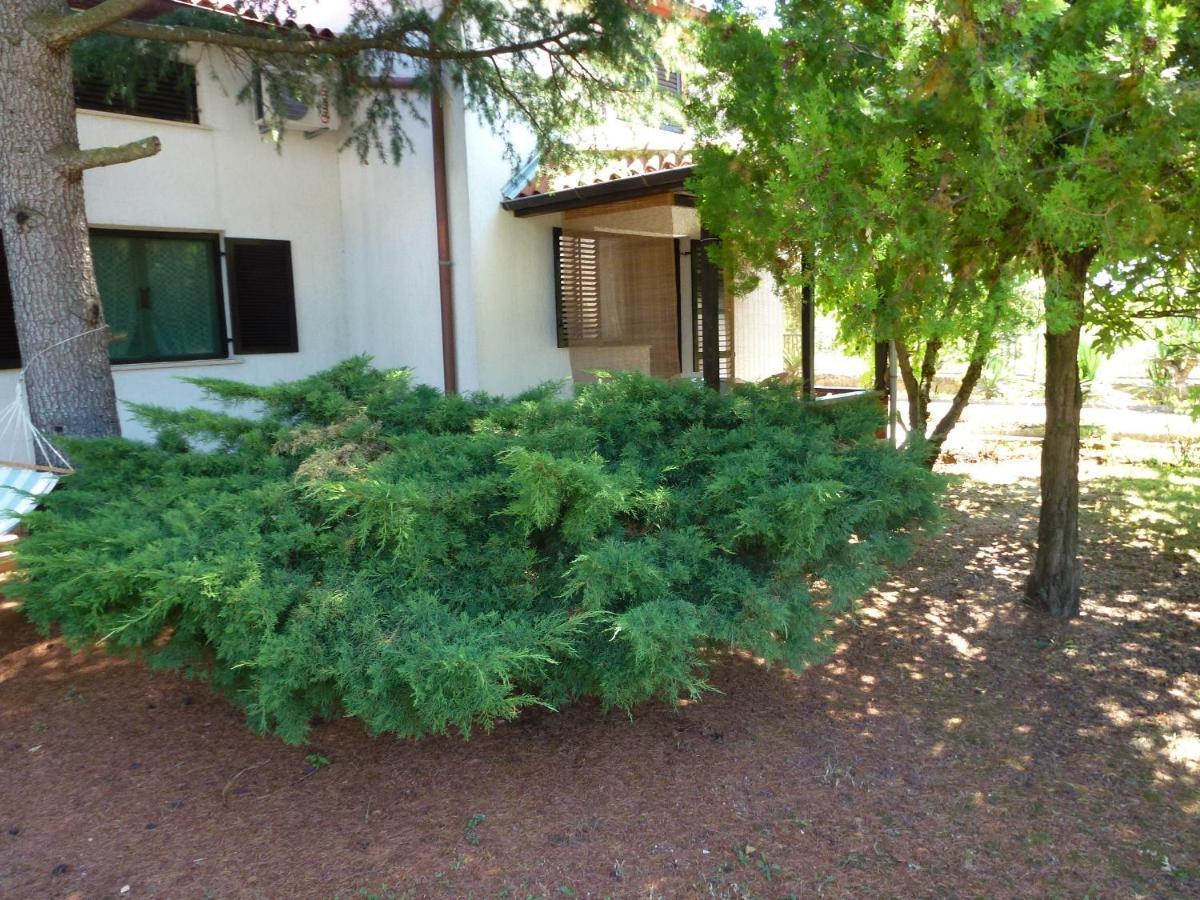 Appartement Ostres